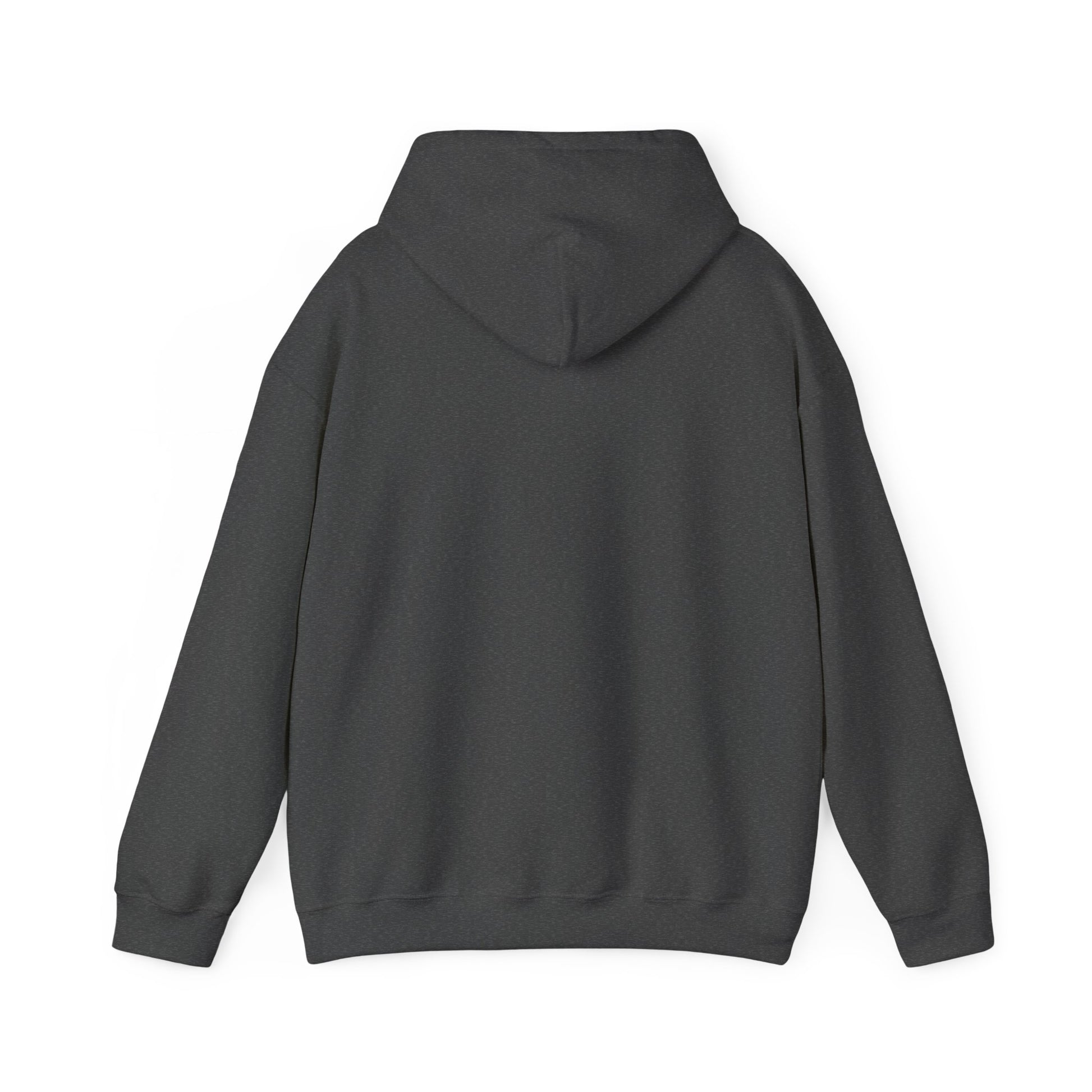 Awakening Aesthetics Bodybuilding Hoodie - Awakening Righteousness