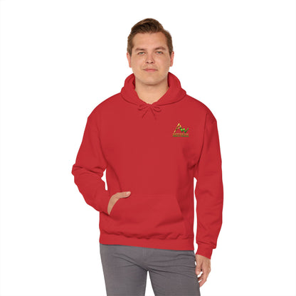 Aesthetic Website Designs Hoody