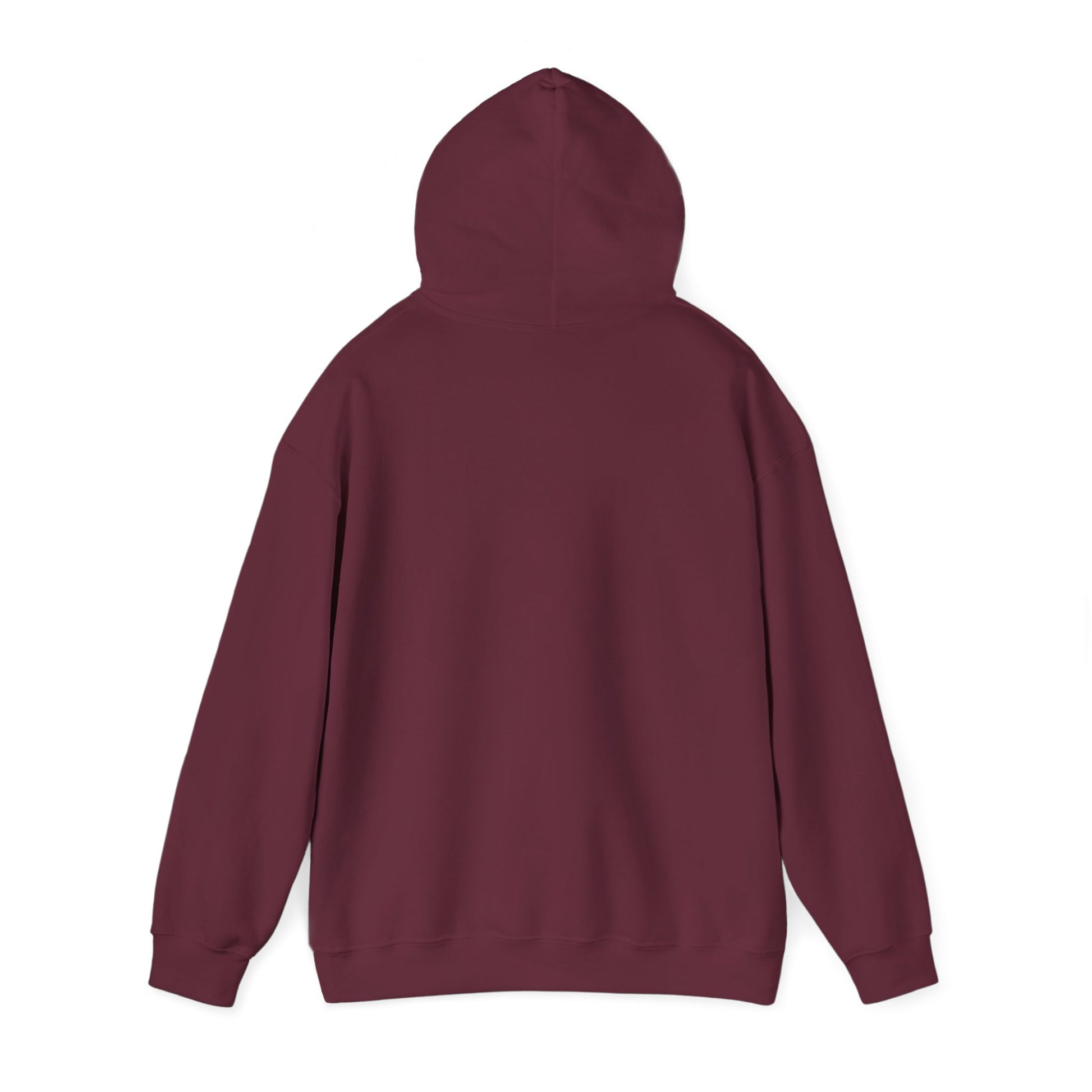 Discipline Awakening Aesthetics Hooded Sweatshirt - Awakening Righteousness