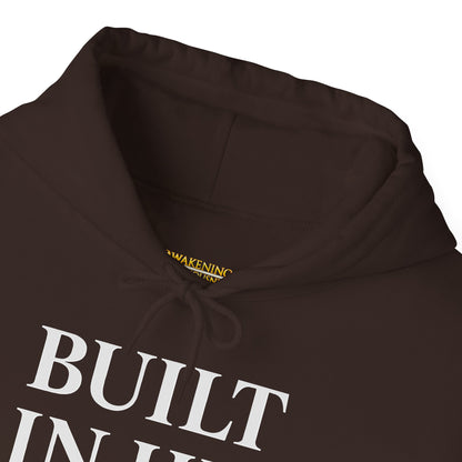 Built In His Image Awakening Righteousness Hoody Apparel For Men and Women