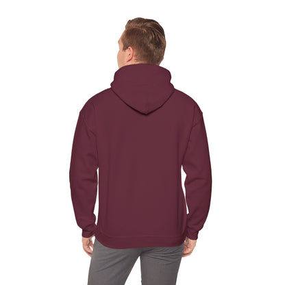 Discipline Awakening Aesthetics Hooded Sweatshirt - Awakening Righteousness