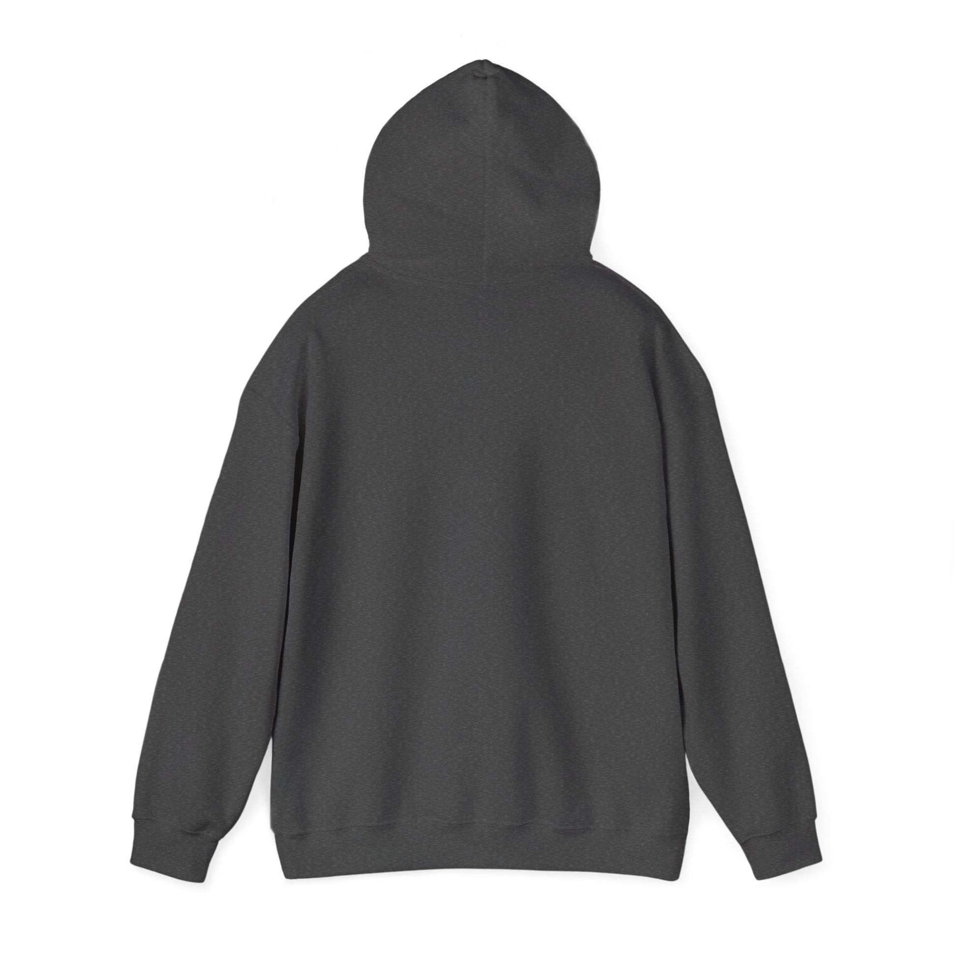 Train With Purpose Aesthetics Bodybuilding Hoodie - Awakening Righteousness