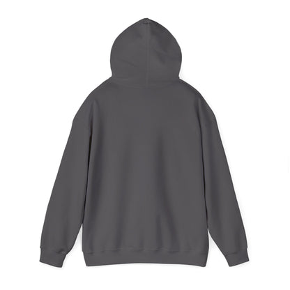 Strength Through Christ Awakening Righteousness Hoody - Awakening Righteousness