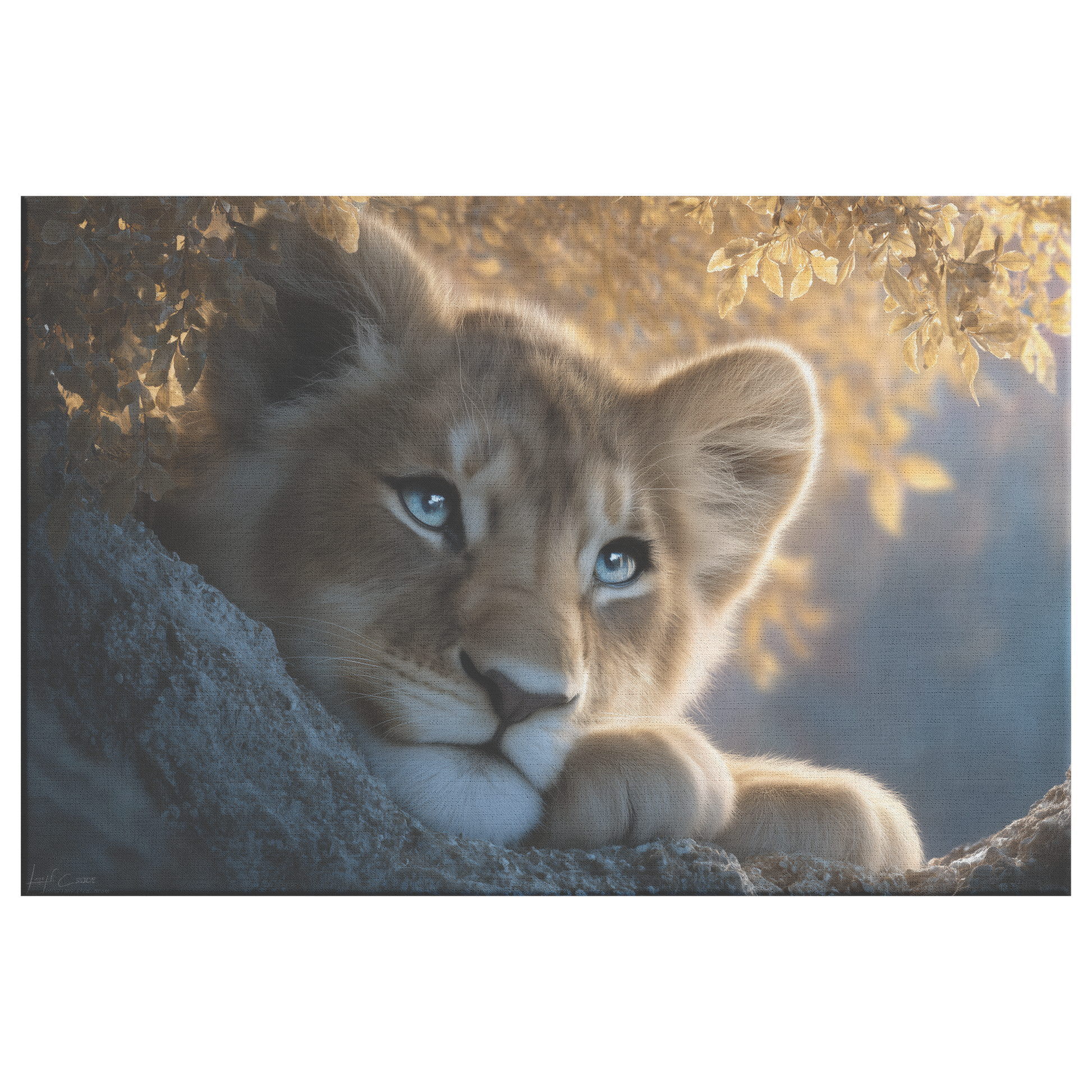 Golden_Lion_Cub_with_Blue_Eyes_Curled_in_H_Rectangle_Main_Mockup.png_15486720