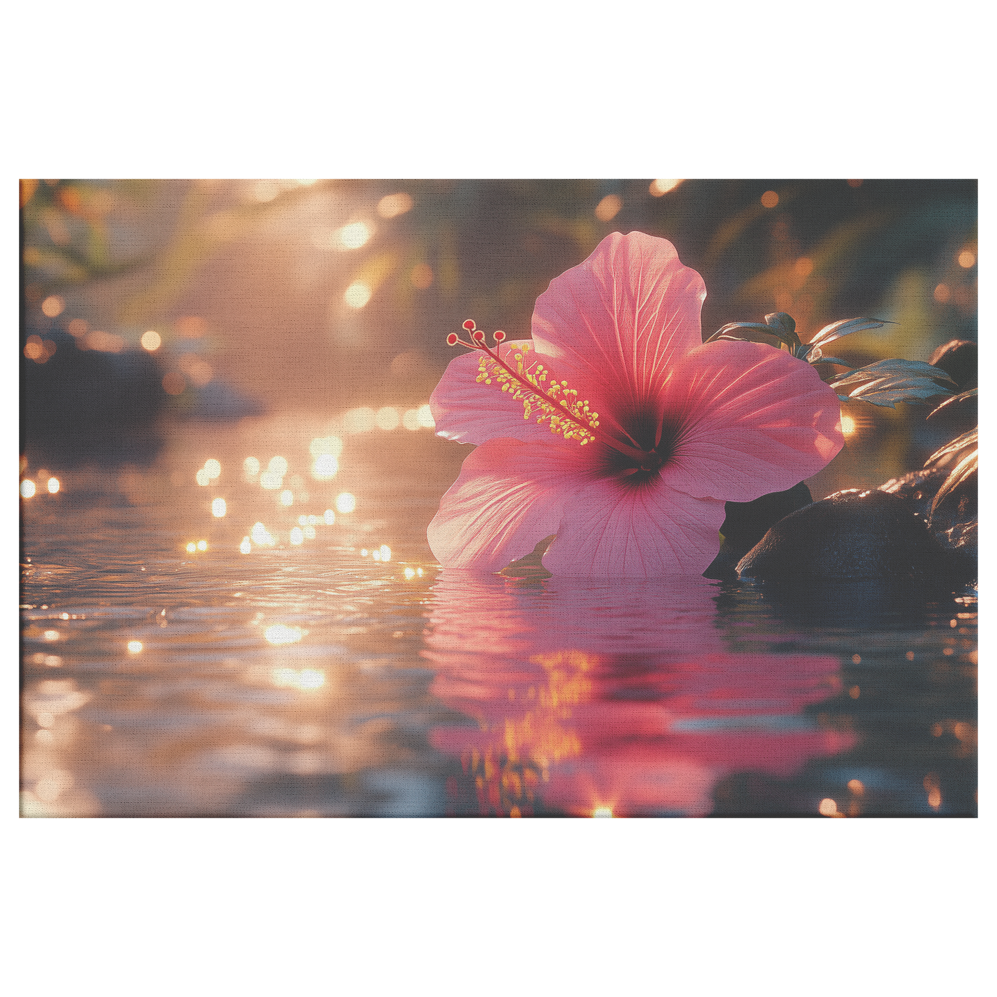 Single_Glowing_Pink_Hibiscus_Resting_on__H_Rectangle_Main_Mockup.png