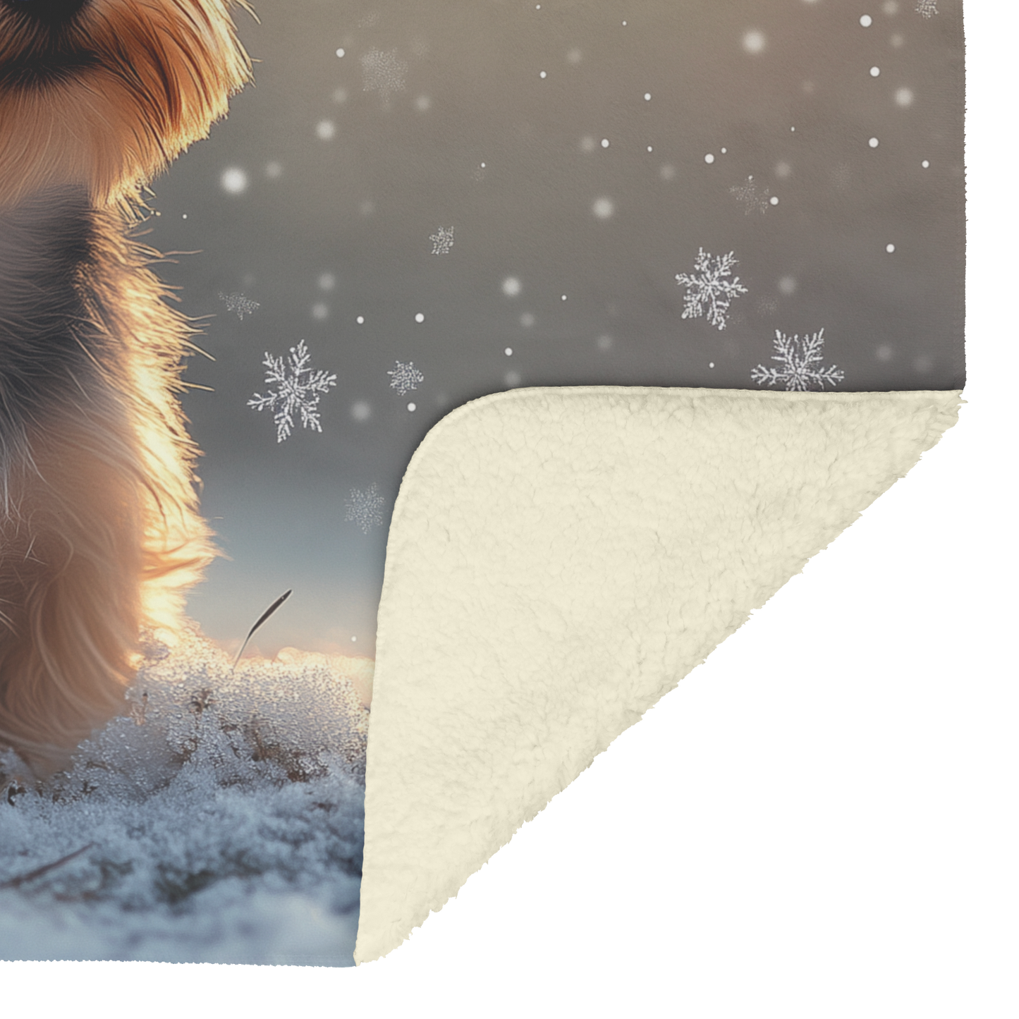 Yorkshire_Terrier_Sitting_Gracefully_on__H_Blanket_Sherpa_Mockup.png