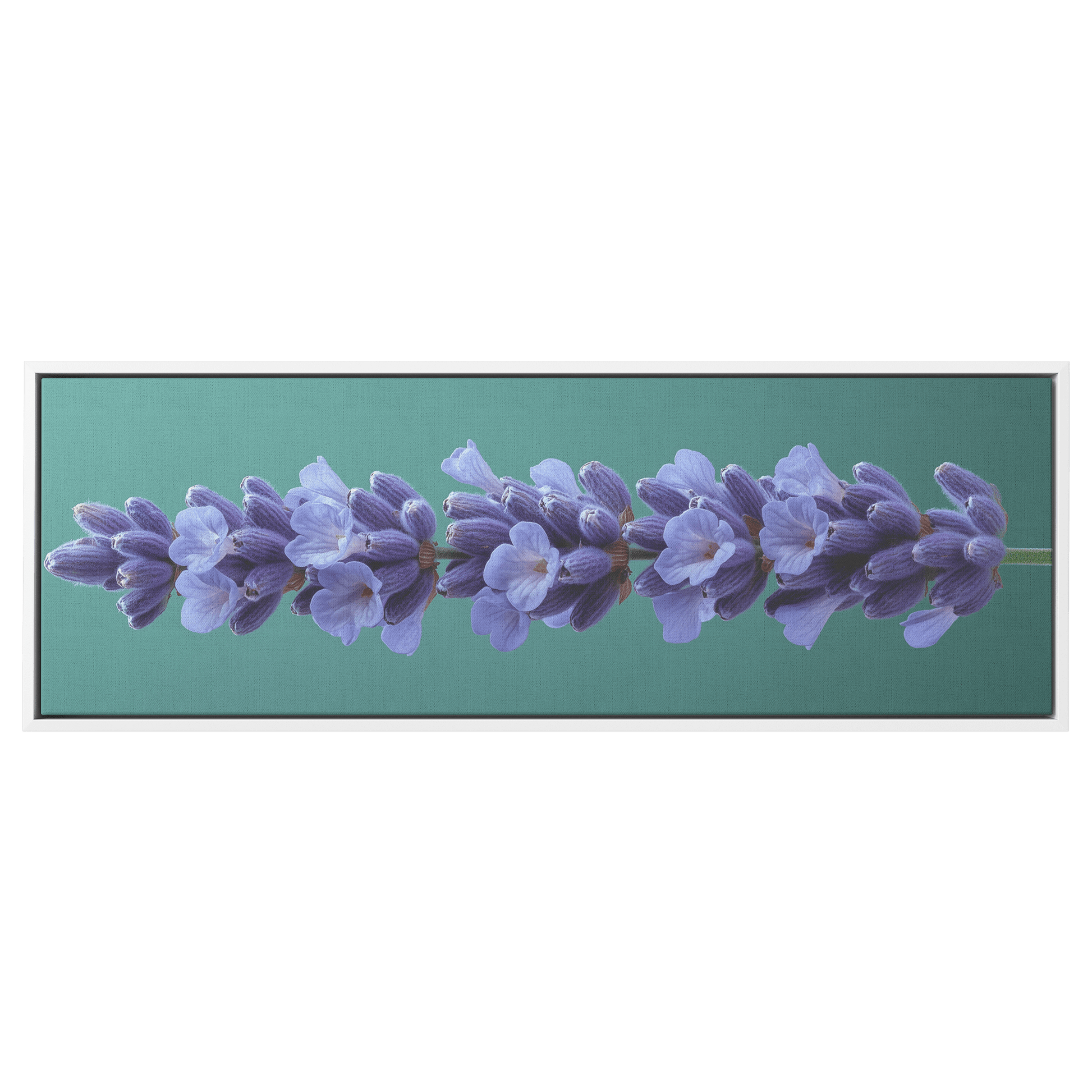 Minimalist Single Stem Floral Artwork Lavender Simple Linework Soft Green Background Elegant Minimalism Ultra High Definition Panoramic Framed Canvas Wall Art - Awakening Righteousness