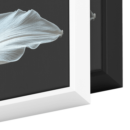 Minimalist Single Stem Floral Artwork Lily Neutral Tones Solid Black Background Clean Elegant Ultra High Definition Panoramic Framed Canvas Wall Art - Awakening Righteousness