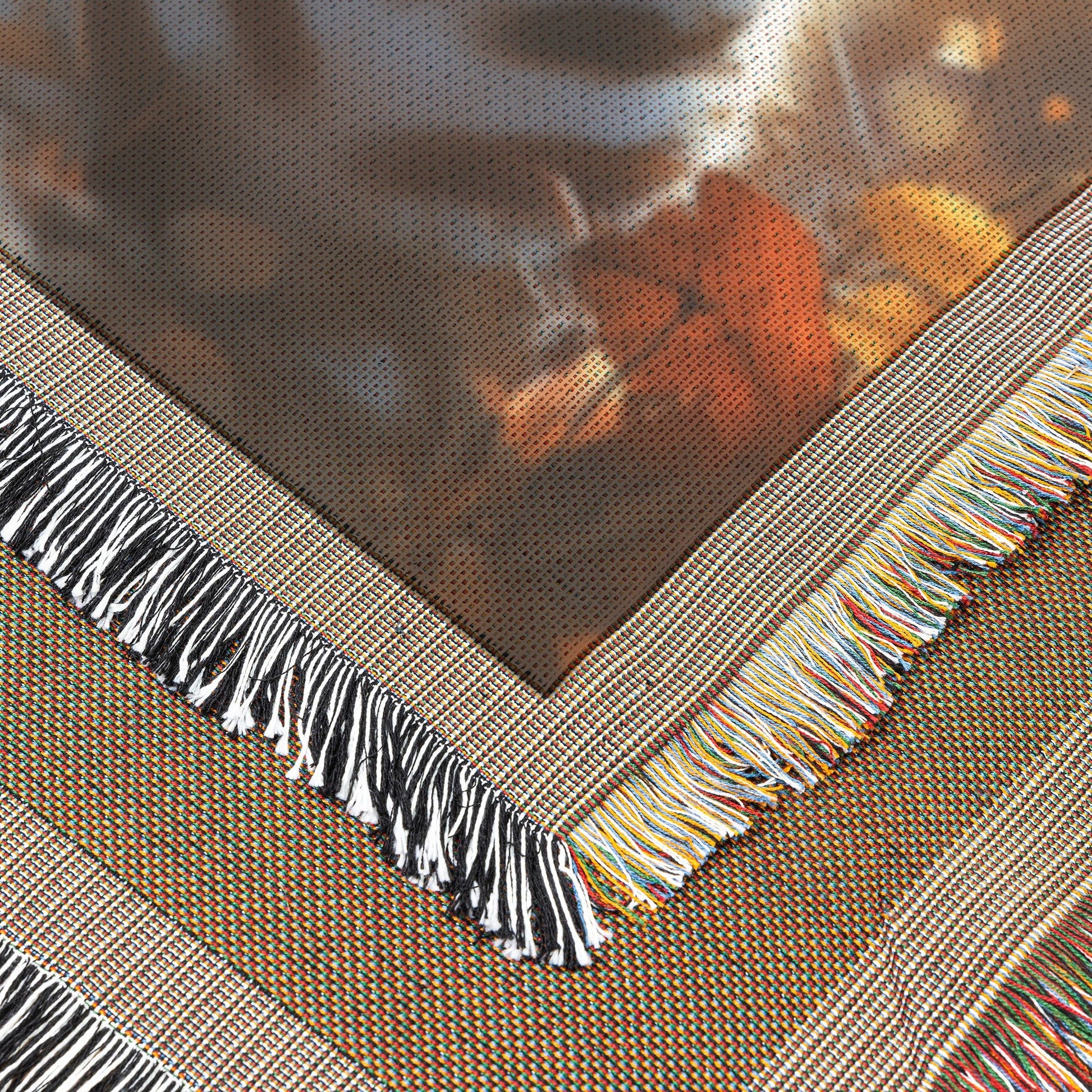 Two Cute Baby Zebras with Blue Eyes in Autumn Forest Cozy Woven Throw Blanket - Awakening Righteousness